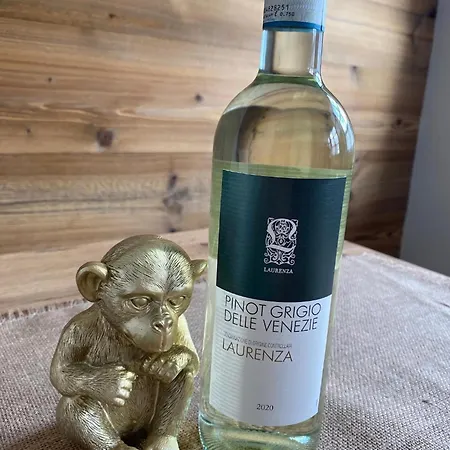 Ferienwohnung Monkeybox Inzell
